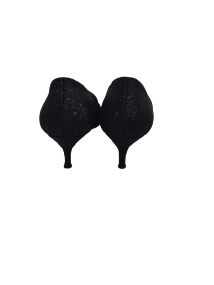 CH INITIALS INSIGNIA