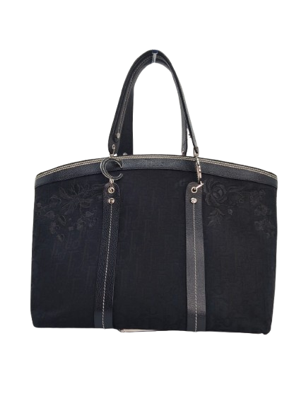 DIOR OBLIQUE